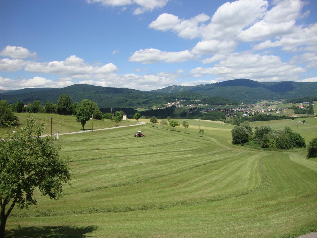 Hochfichtblick Apartments Улрихсберг Екстериор снимка